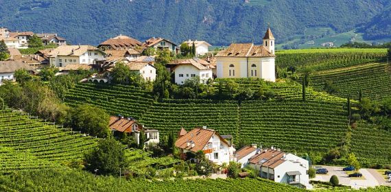 strade del vino appino