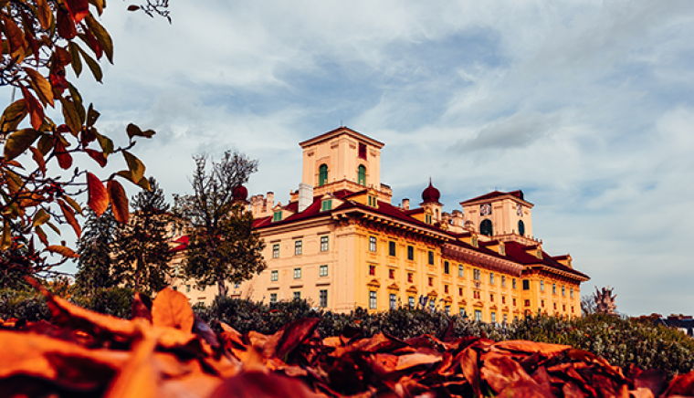 Schloss Esterházy