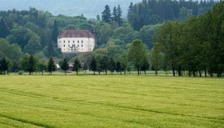  Schloss Ernegg 