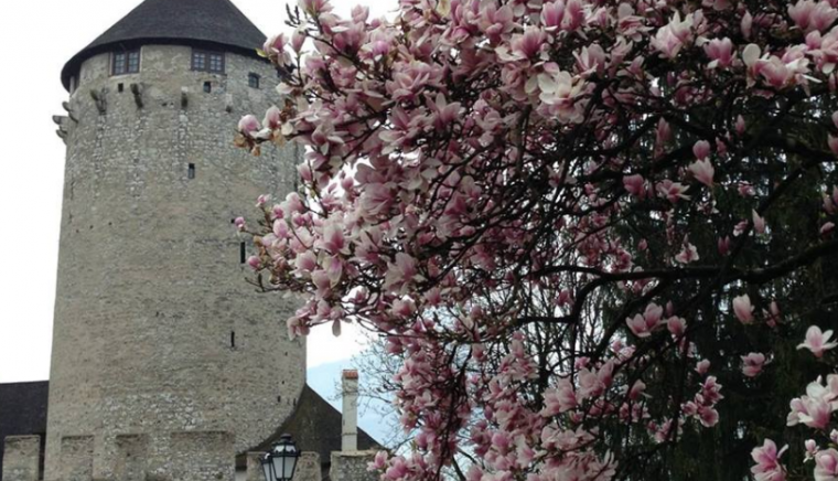  Schloss Matzen 