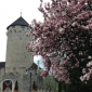  Schloss Matzen 