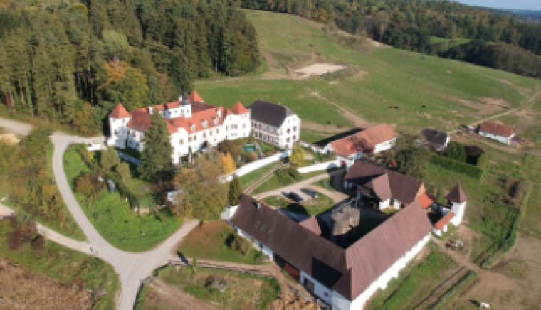 Schloss Dornhofen