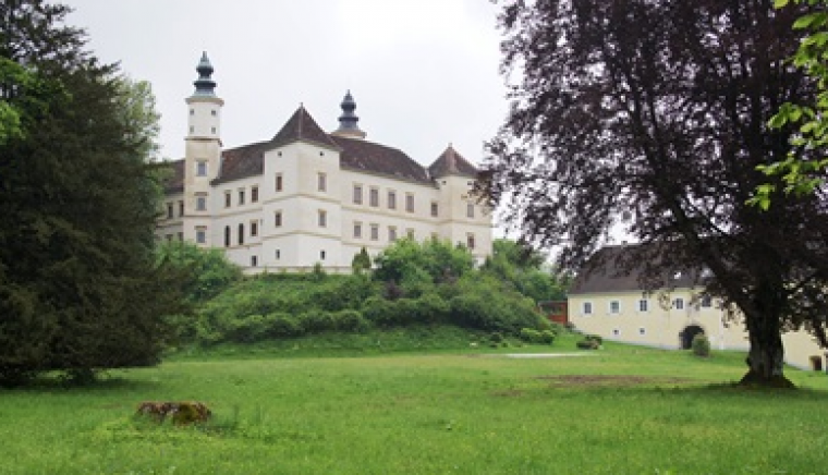  Schloss Freiberg 