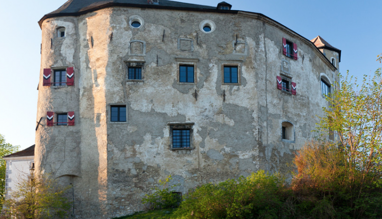 Burg Plankenstein