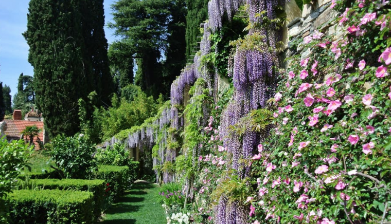 Villa della Pergola