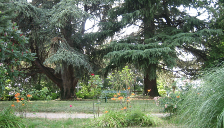 Parco delle Bertone