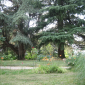 Parco delle Bertone