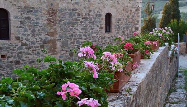 Castello Di Ripa D'Orcia