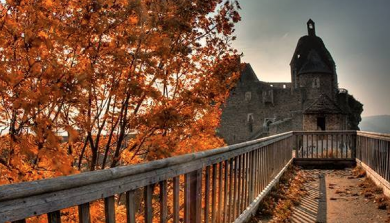 Burgruine Aggstein