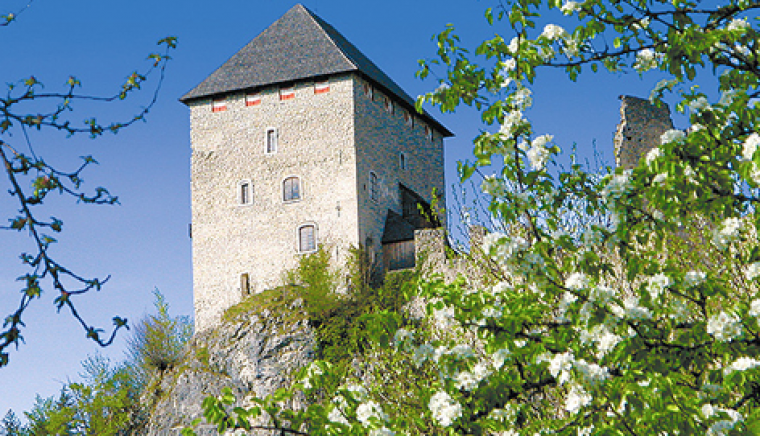 Burgruine Gallenstein