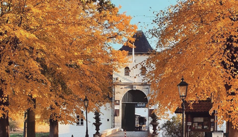 Kasteel Daelenbroeck 