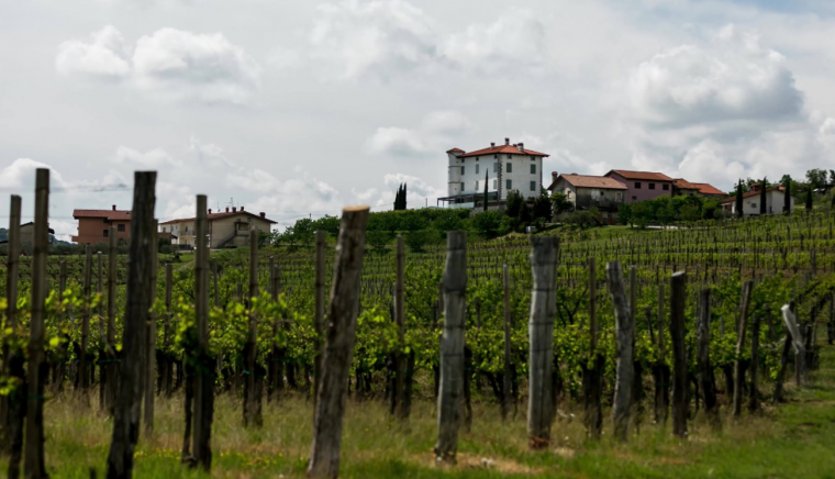 Hotel Restaurant Vinotheque Gredič