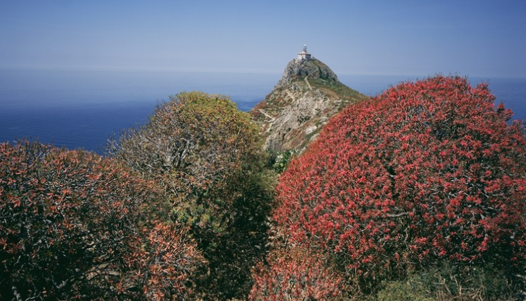 Palagruza Lighthouse