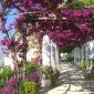 Grand Hotel Convento di Amalfi