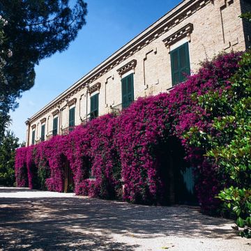 Tenuta San Teodoro Nuovo