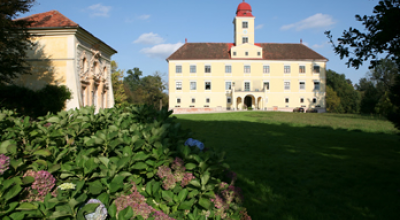 Schloss Brunnsee