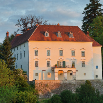  Schloss Ernegg 