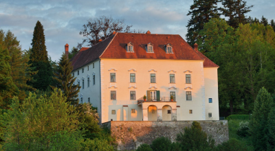  Schloss Ernegg 