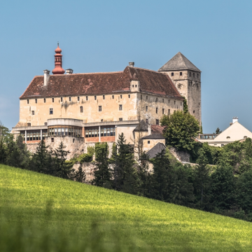  Schloss Krumbach 