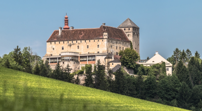  Schloss Krumbach 