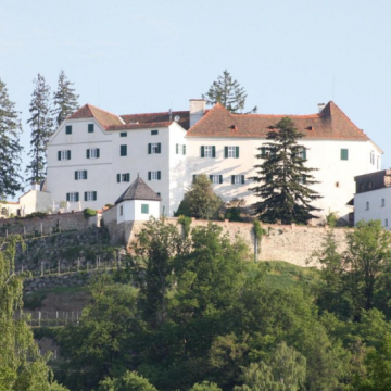  Kapfenstein Schloss Restaurant 