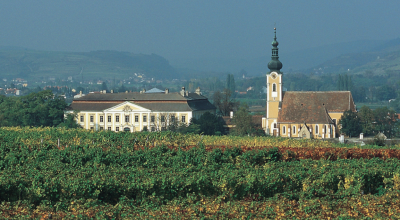  Schloss Gobelsburg 