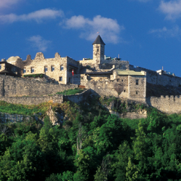  Burg Landskron 