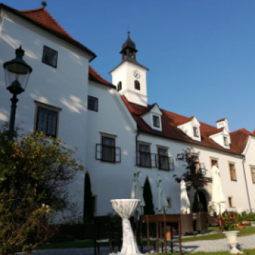 Schloss Dornhofen