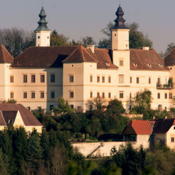  Schloss Freiberg 