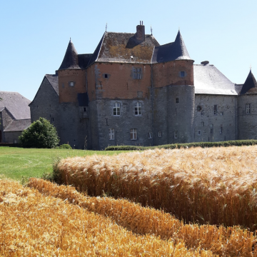 Château du Fosteau