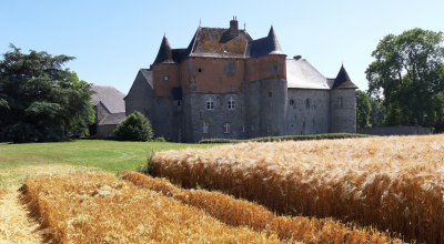 Château du Fosteau