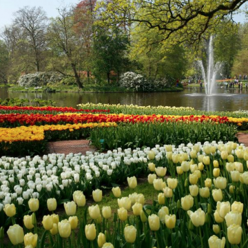 Keukenhof