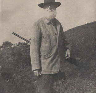 Eugenio Niccolini