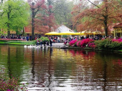 Keukenhof
