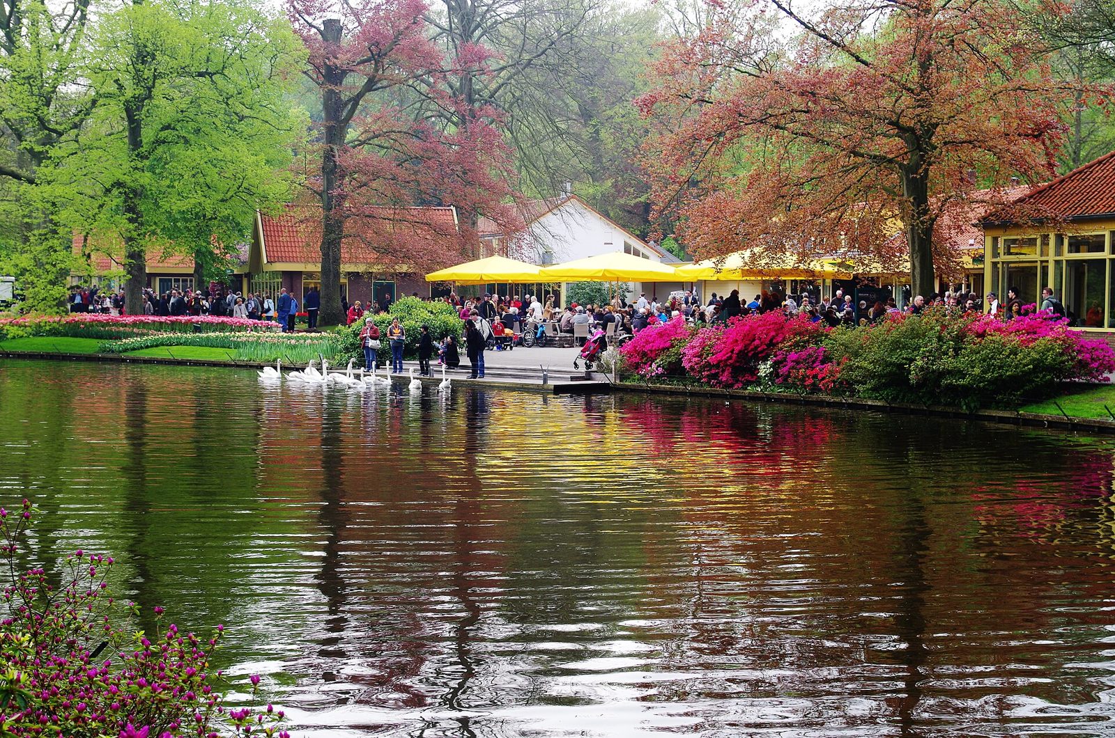 Keukenhof