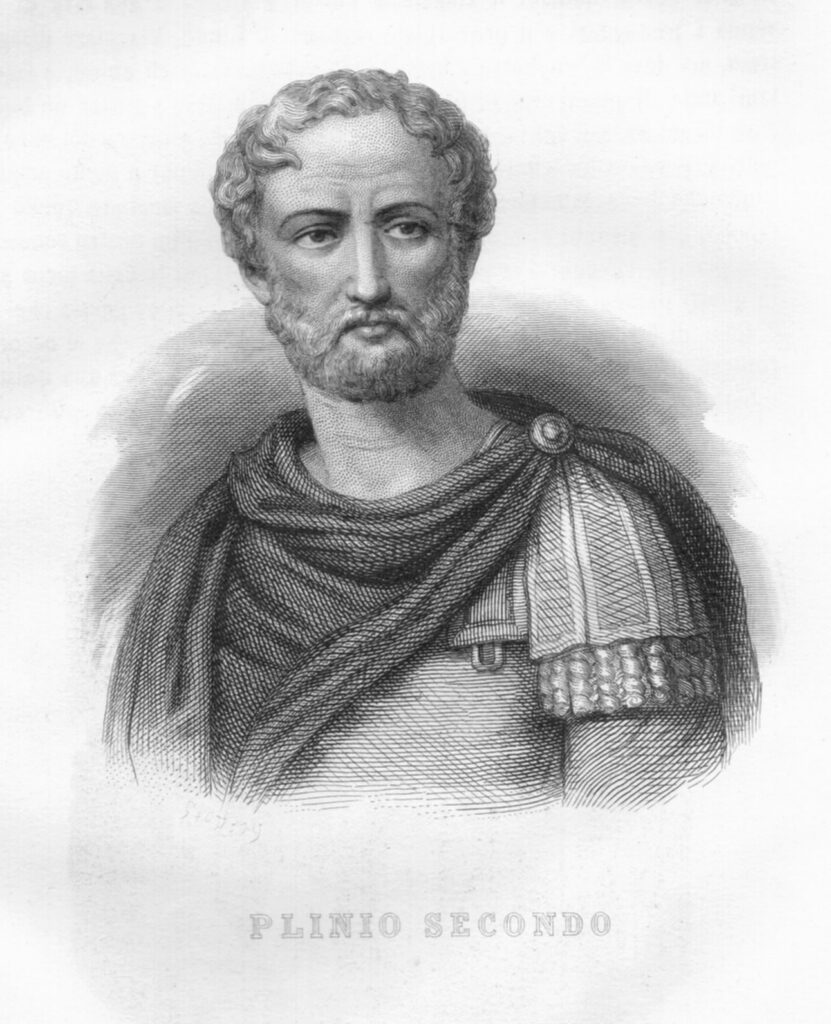 Plinio Il Vecchio