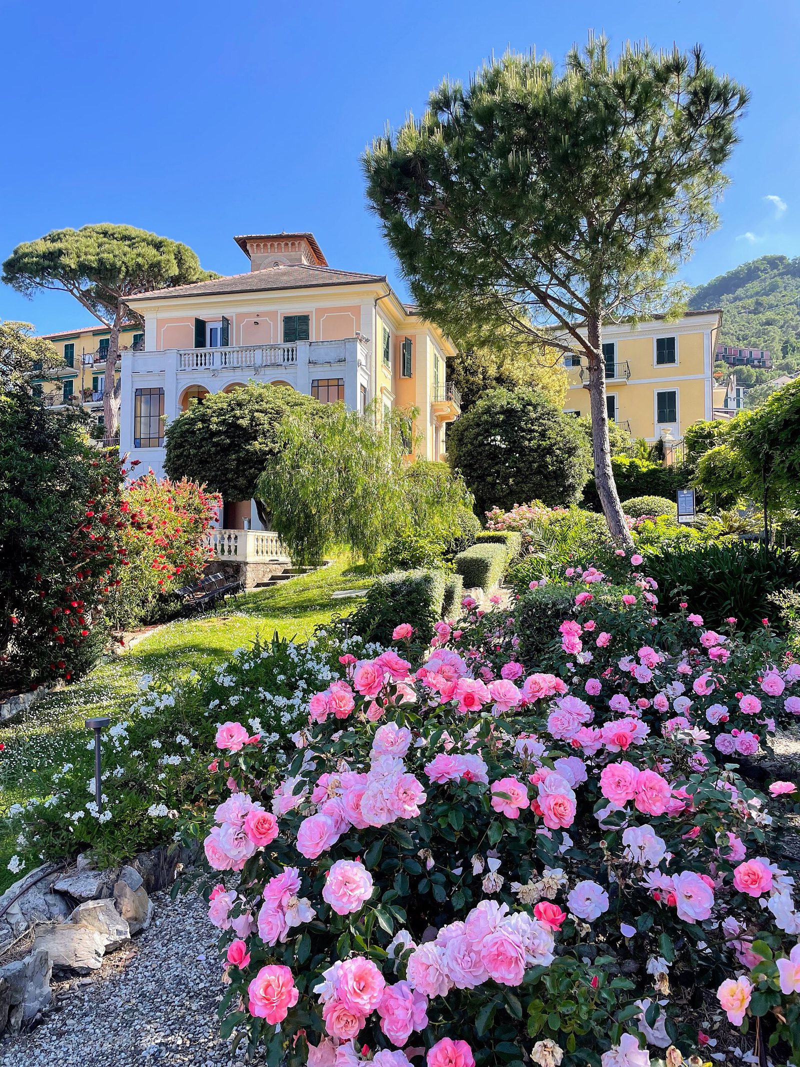 Villa Vicini